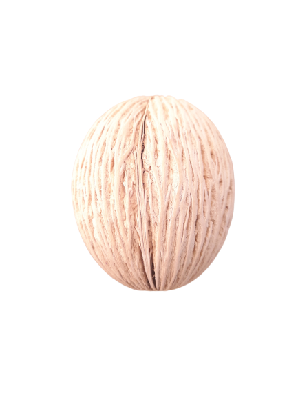 MINTOLA POD