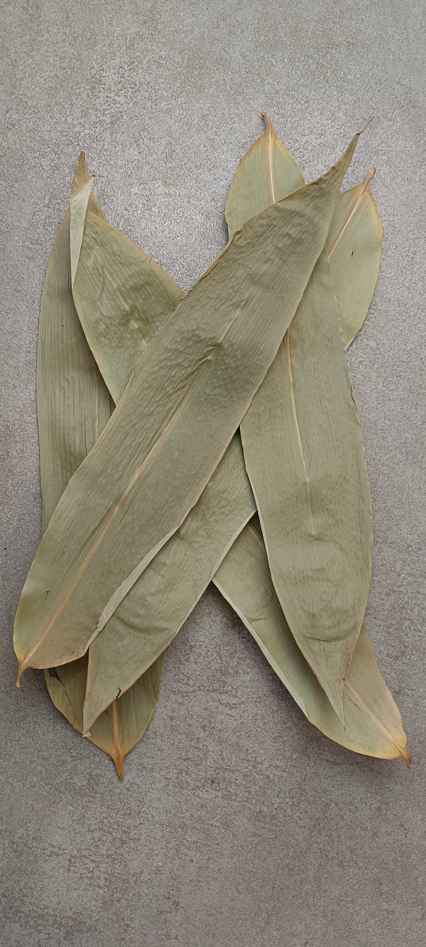 HOJAS DE BAMBU XL