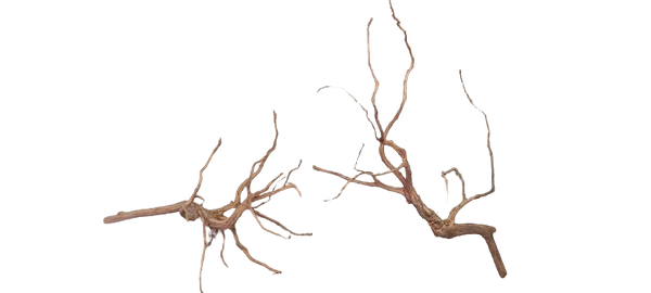 RASAMALA WOOD