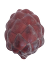 PIÑA DE RAFIA.