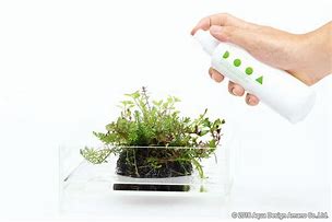 DOOA WABI-KUSA MIST
