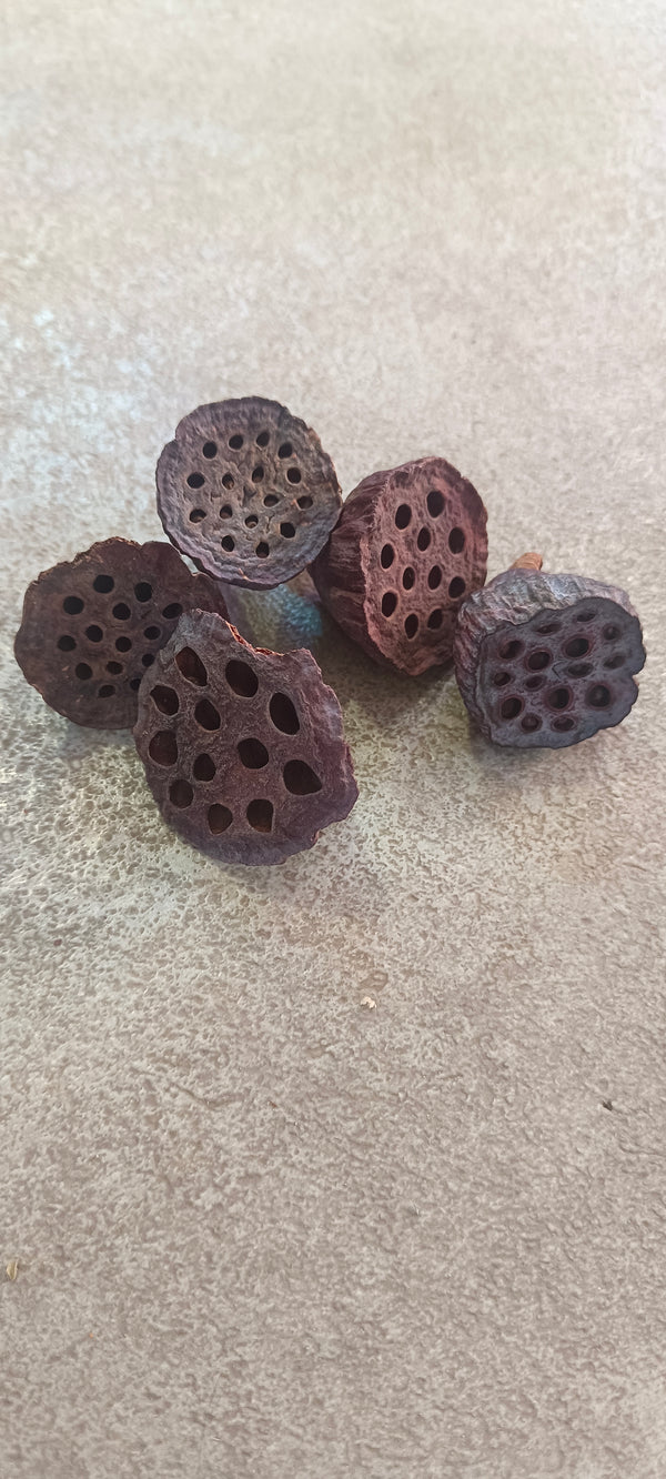 Nano lotus