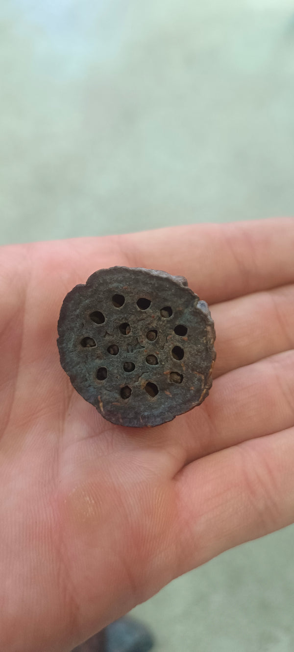 Nano lotus