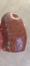 Courbaril pod