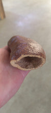 Courbaril pod