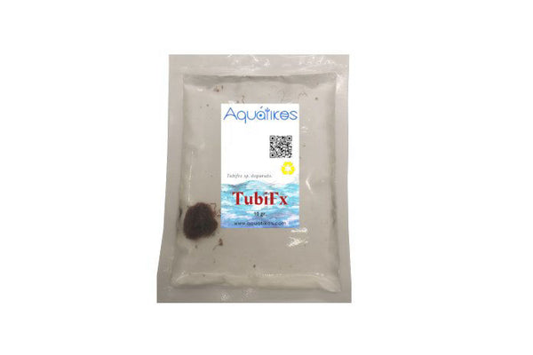 Tubifex
