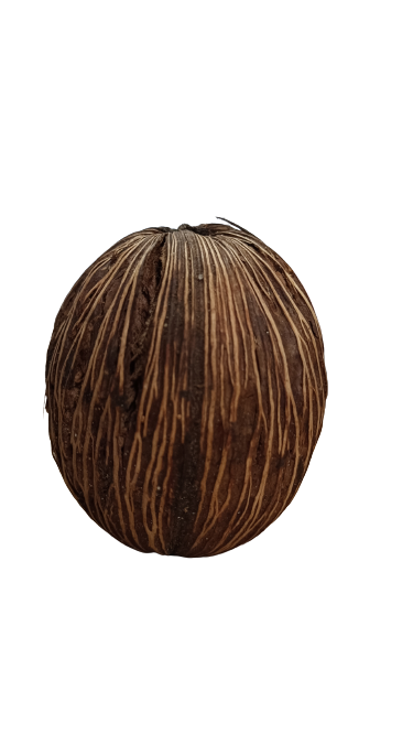 MINTOLA POD