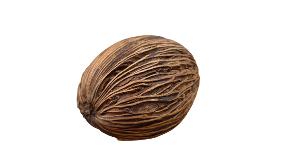 MINTOLA POD