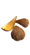 DRAGEA POD