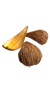 DRAGEA POD
