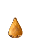 DRAGEA POD