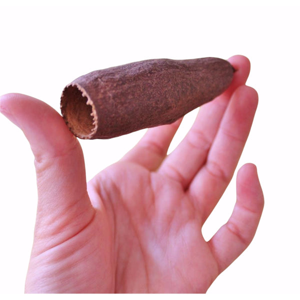 CARINIANA POD PACK DE 3 UNIDADES