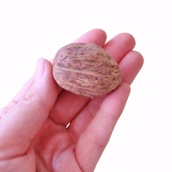 AMRA FRUIT PACK DE 5 UNIDADES