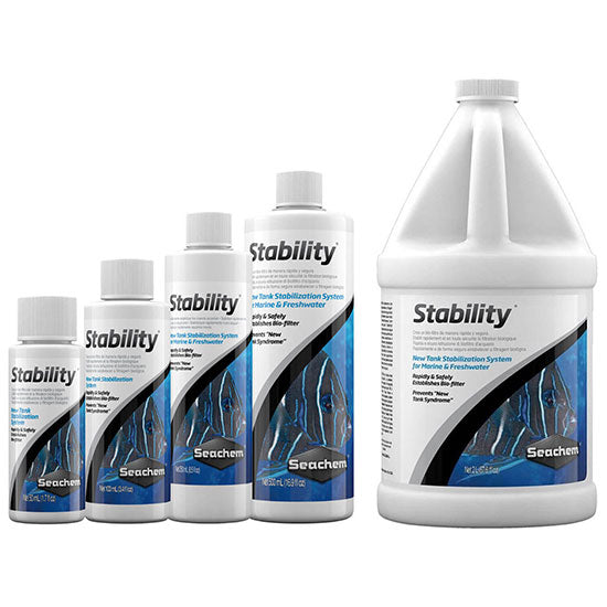STABILITY