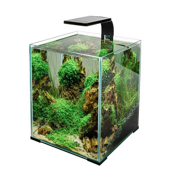 LEDDY SLIM SUNNY / PLANT