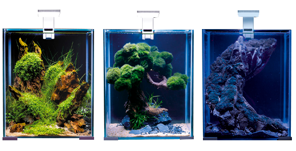 LEDDY SLIM SUNNY / PLANT