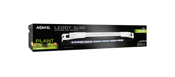 LEDDY SLIM SUNNY / PLANT