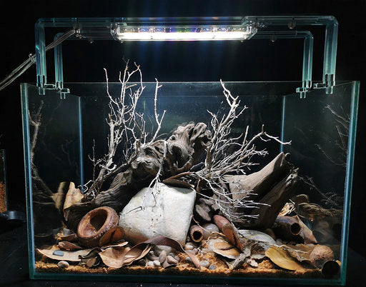 Acuarios Standar (varias medidas)