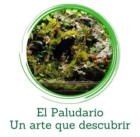 El Paludario, ¿Qué es y para que se utiliza?