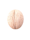 MINTOLA POD