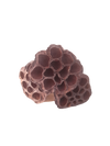 LOTUS POD