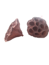 LOTUS POD
