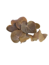 HOJAS CORACAO