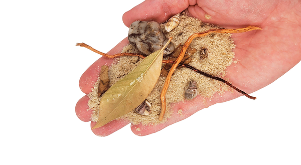 LECHO BIOTOPOS RIVULET WIO 2 Kg