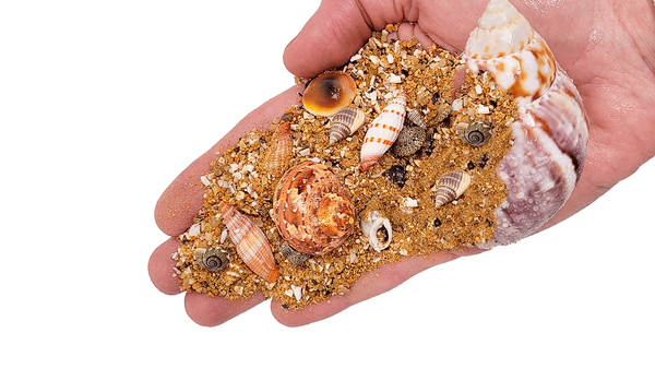LECHOS DE BIOTOPO NAUTILUS TANNED WIO 2Kg.