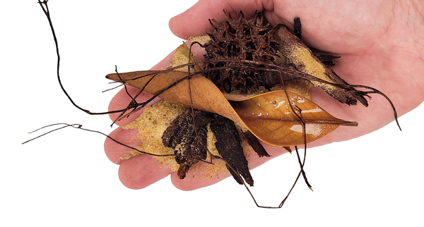 LECHOS DE BIOTOPO EVERGLADES WIO 2Kg