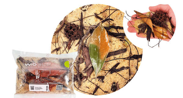 LECHOS DE BIOTOPO EVERGLADES WIO 2Kg