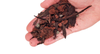 LECHOS DE BIOTOPO CRIKEY WIO 2Kg