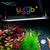 Chihiros WRGB II