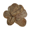 Hojas Catappa leaves