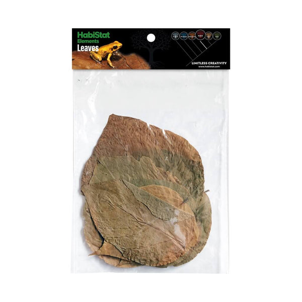 Hojas Davap leaves