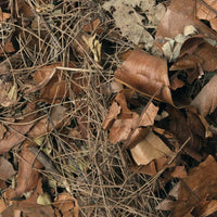 Hojas - Forest Floor Mix 5 ltr