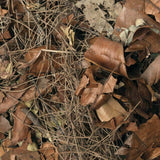 Hojas - Forest Floor Mix 5 ltr