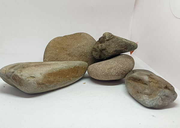 RIVER DRAGON STONE