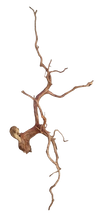 RASAMALA WOOD