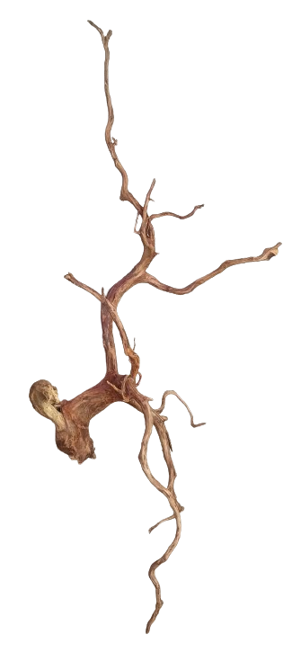 RASAMALA WOOD