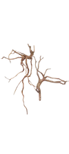 RASAMALA WOOD