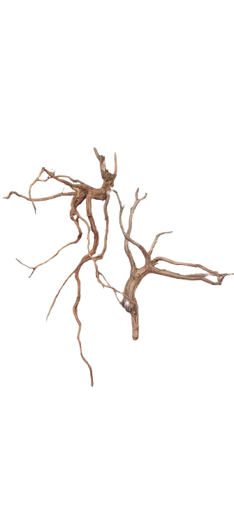 RASAMALA WOOD