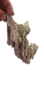 ROCA SAND STONE