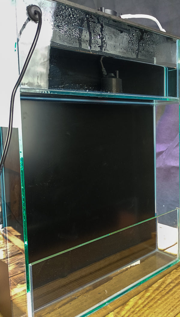 VIVARIUM-V2 CLOUDY FOREST VIVARIUM.