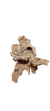 OPUWA WOOD