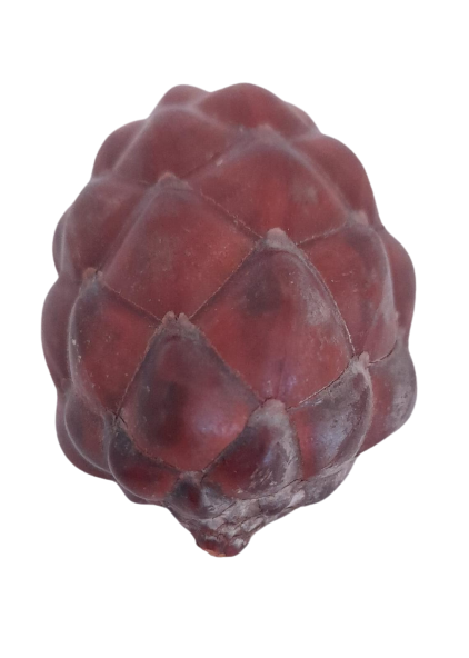 PIÑA DE RAFIA.