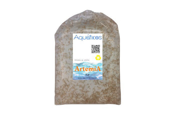 Artemia