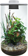 Bio ArtBio Art Terrario Cylinder 285 Blanco