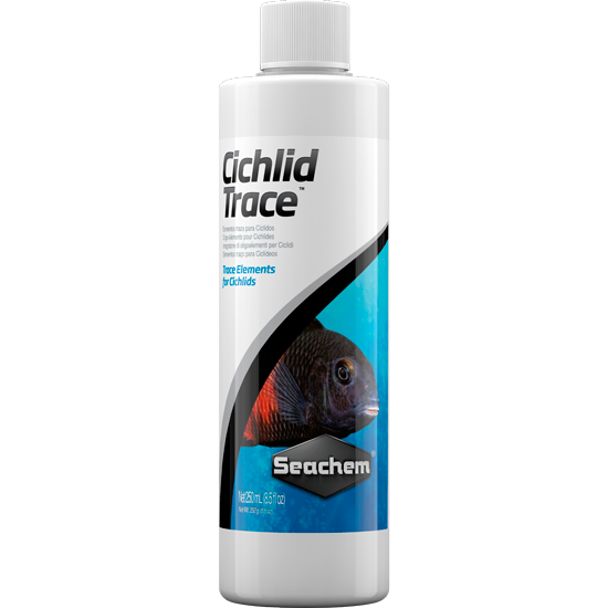 Cichlid Trace