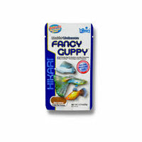 Hikari - fansy guppy